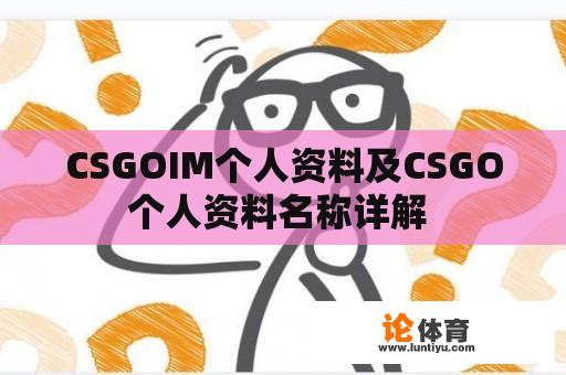 CSGOIM个人资料及CSGO个人资料名称详解 