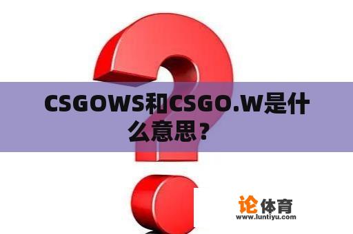 CSGOWS和CSGO.W是什么意思？ 