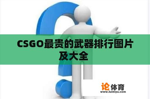 CSGO最贵的武器排行图片及大全 