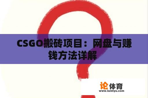 CSGO搬砖项目：网盘与赚钱方法详解 