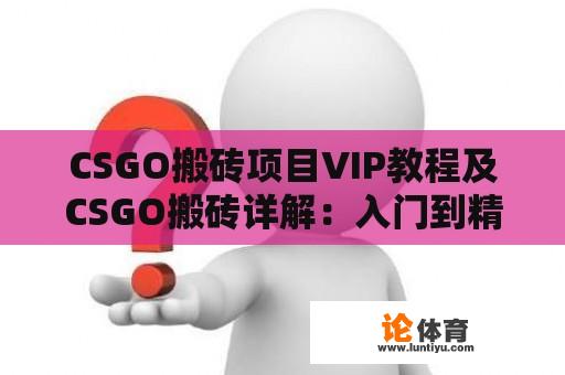 CSGO搬砖项目VIP教程及CSGO搬砖详解：入门到精通 