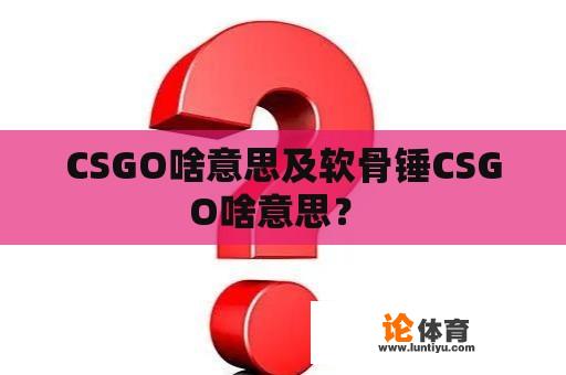 CSGO啥意思及软骨锤CSGO啥意思？ 