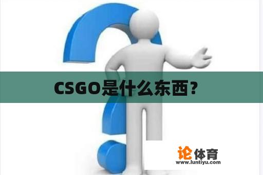 CSGO是什么东西？ 