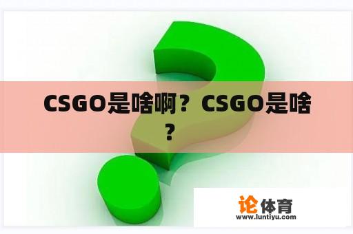 CSGO是啥啊？CSGO是啥？ 