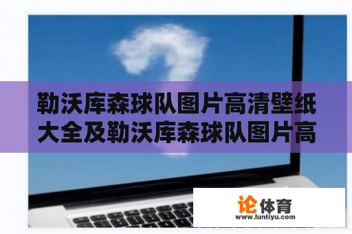 勒沃库森球队图片高清壁纸大全及勒沃库森球队图片高清壁纸大全 