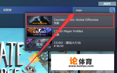 cs go 怎么下载？csgo怎么下载？