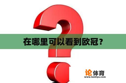 在哪里可以看到欧冠？