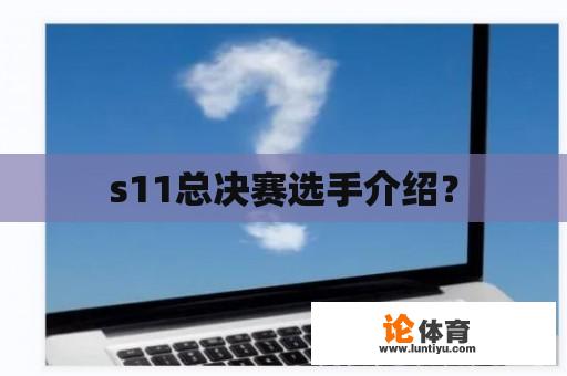 s11总决赛选手介绍？