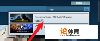 csgo单机版电脑怎么下？