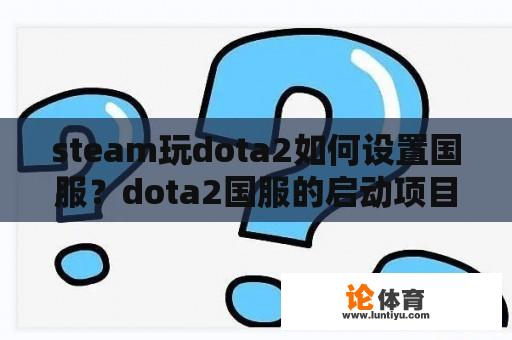 steam玩dota2如何设置国服?dota2国服的启动项目有多少? steam玩dota2如何设置国服?dota2国服的启动项目有多少?