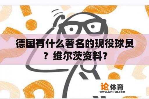 德国有什么著名的现役球员？维尔茨资料？