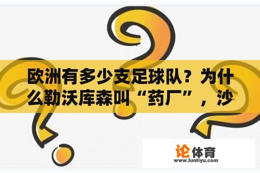 欧洲有多少支足球队？为什么勒沃库森叫“药厂”，沙尔克叫“矿工”？