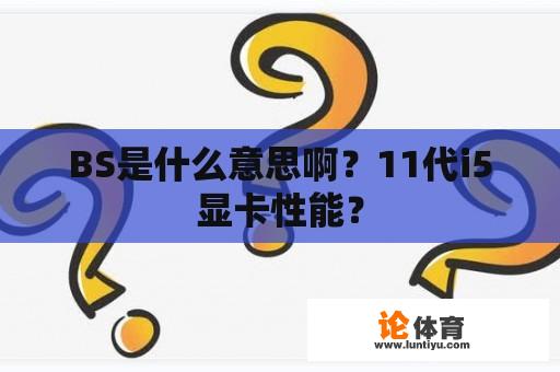 BS是什么意思啊？11代i5显卡性能？