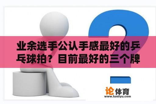 业余选手公认手感最好的乒乓球拍？目前最好的三个牌子的乒乓球拍？