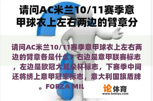 请问AC米兰10/11赛季意甲球衣上左右两边的臂章分别是什么？