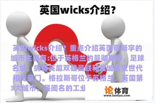 英国wicks介绍？