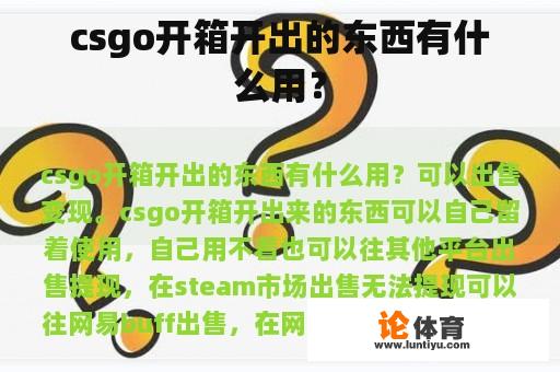 csgo开箱开出的东西有什么用？