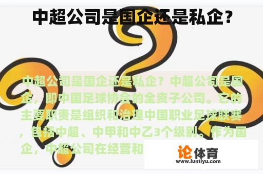 中超公司是国企还是私企？