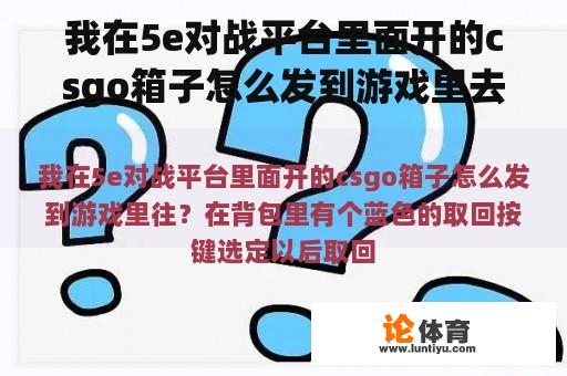 我在5e对战平台里面开的csgo箱子怎么发到游戏里去？