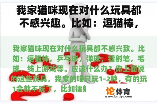 我家猫咪现在对什么玩具都不感兴趣。比如：逗猫棒，乒乓球，弹珠，镭射笔，毛球，线上游戏等。应该什么办？