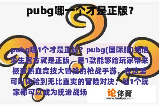 pubg哪一个才是正版？