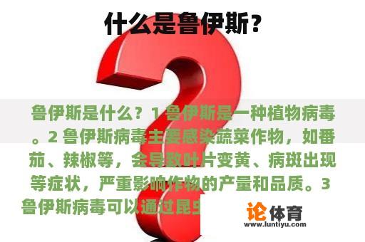 什么是鲁伊斯？