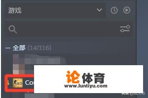 csgo出现问题,阻止了VAC系统？