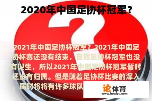 2020年中国足协杯冠军？