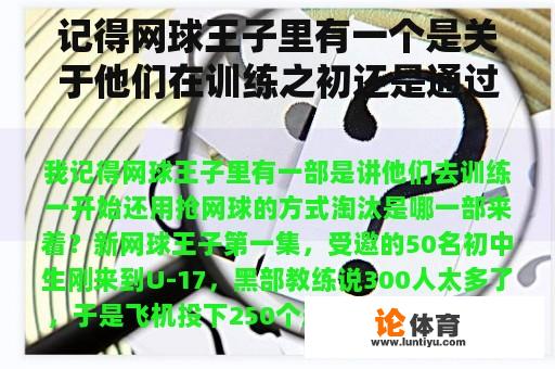 记得网球王子里有一个是关于他们在训练之初还是通过抢网球的方式淘汰的？