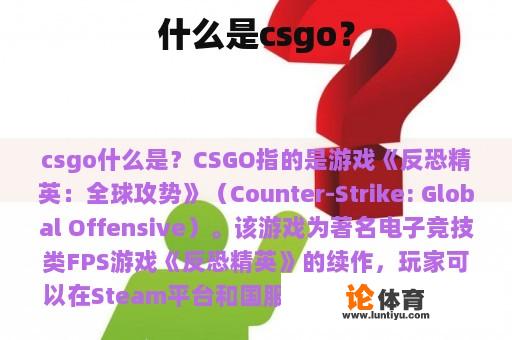 什么是csgo？