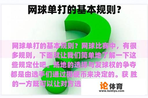 网球单打的基本规则? 网球单打的基本规则?