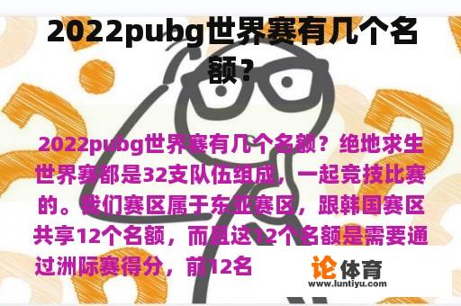 2022pubg世界赛有几个名额？