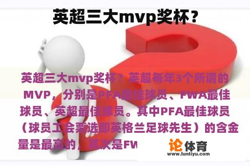 英超三大mvp奖杯？