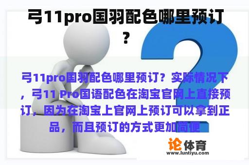 弓11pro国羽配色哪里预订？