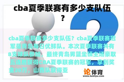 cba夏季联赛有多少支队伍？