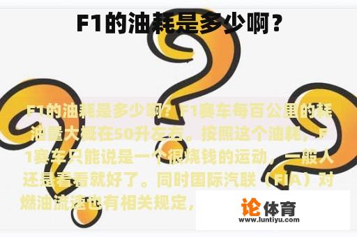 F1的油耗是多少啊？