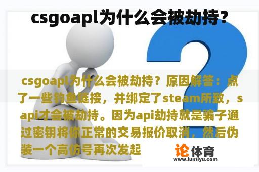 csgoapl为什么会被劫持？