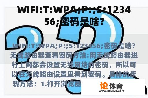 WIFI:T:WPA;P:;S:123456;密码是啥？