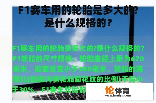 F1赛车用的轮胎是多大的?是什么规格的？