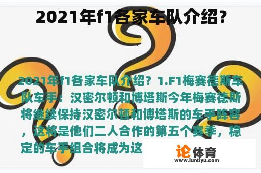 2021年f1各家车队介绍？