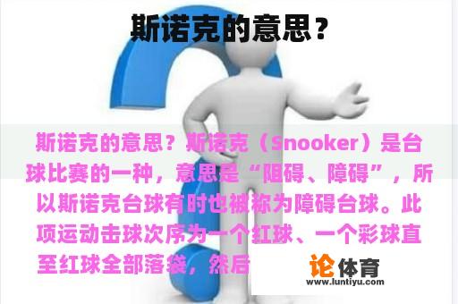 斯诺克的意思? 斯诺克的意思?