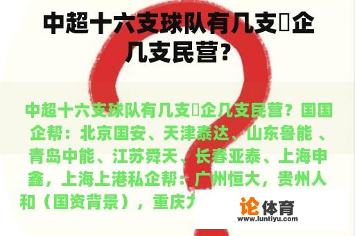 中超十六支球队有几支囯企几支民营？