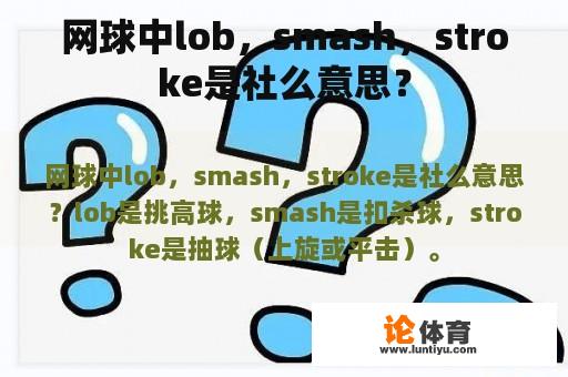 网球中lob，smash，stroke是社么意思？