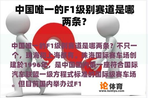 中国唯一的F1级别赛道是哪两条？