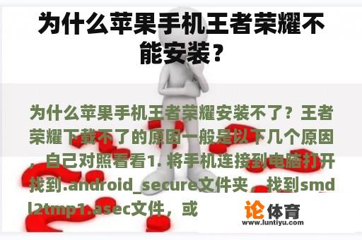 为什么苹果手机王者荣耀不能安装？