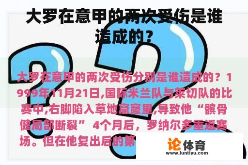 大罗在意甲的两次受伤是谁造成的？