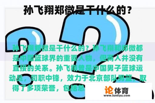 孙飞翔郑微是干什么的？