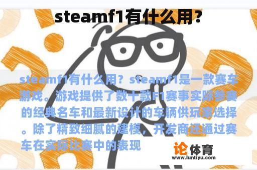 steamf1有什么用？