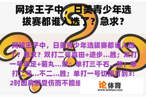 网球王子中，日美青少年选拔赛都谁入选了？急求？