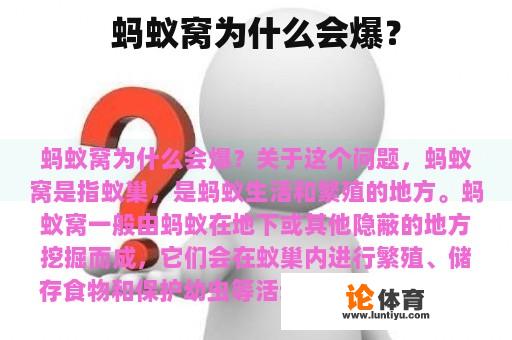 蚂蚁窝为什么会爆？